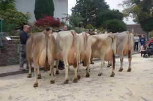 k-7Schneuter ltere von rechts nach links